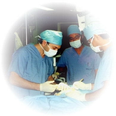 Dr. Tengiz Tkebuchava and his fellow surgeons